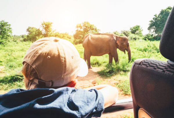 Sri Lanka Con Bambini La Guida Cosa Vedere Cosa Mangiare E Cosa Non Hot Sex Picture