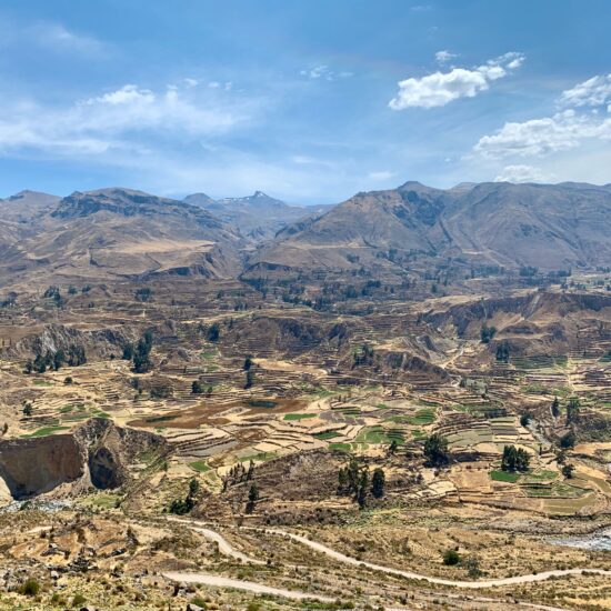 terrazzamenti peru