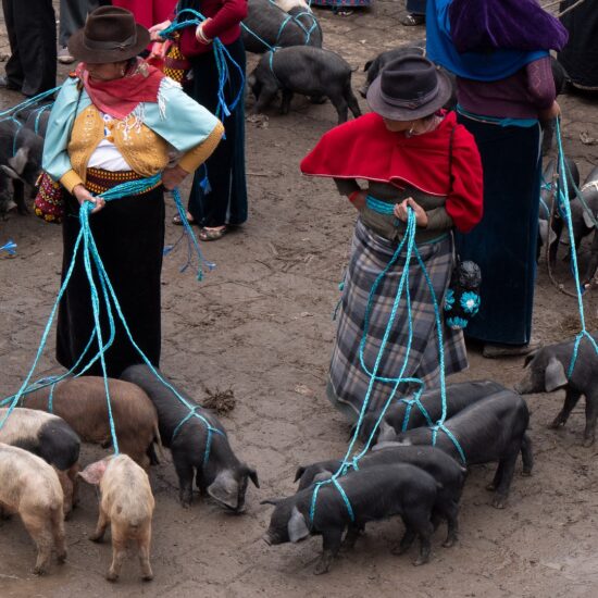 ecuador mercato