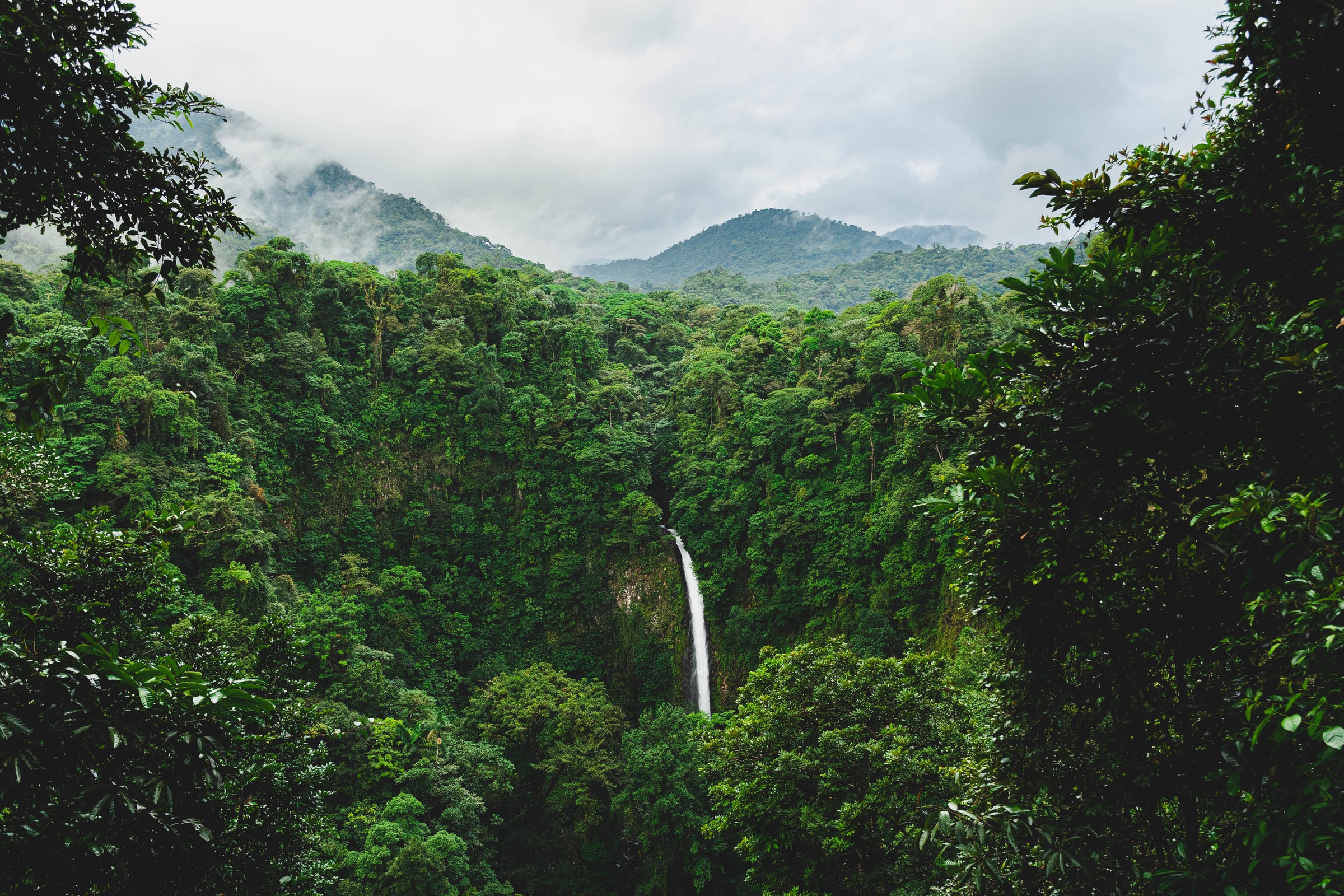 costarica natura