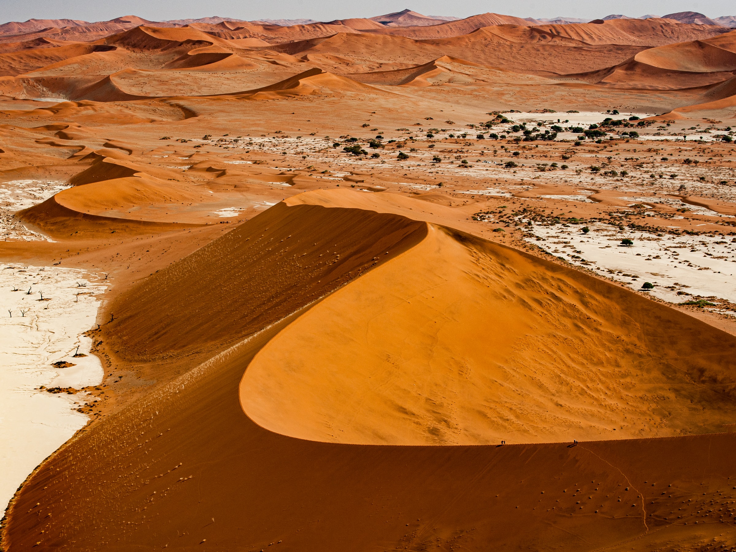 deserto namib namibia