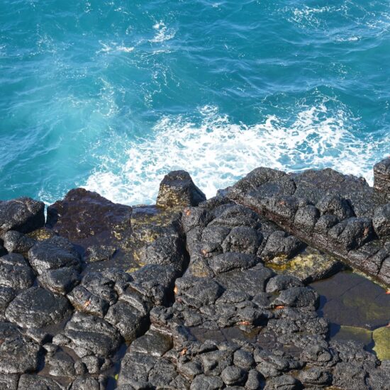 costa galapagos