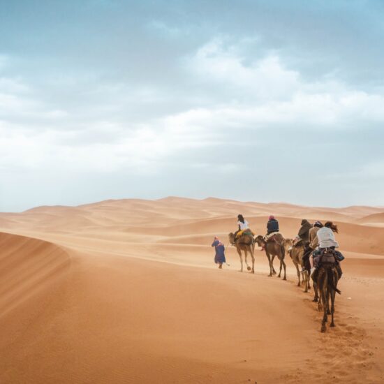 marocco cammelli