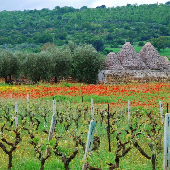 puglia paesaggio