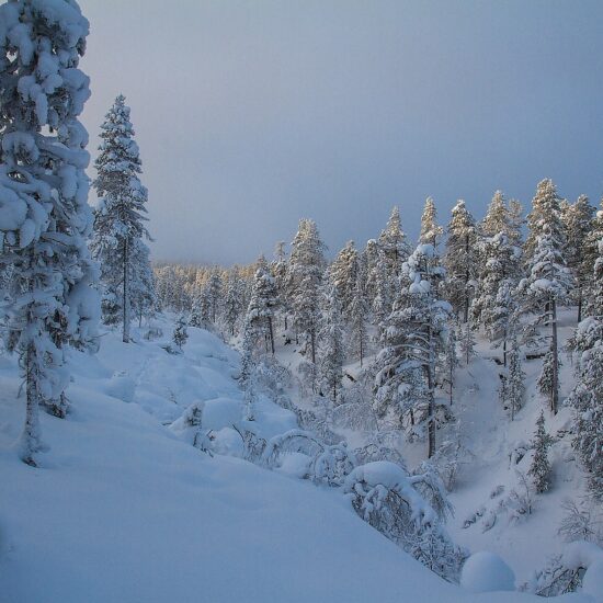 finlandia panorama