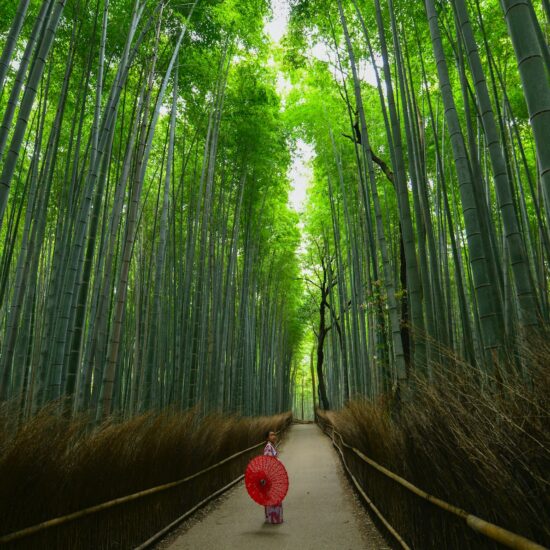 arashiyama