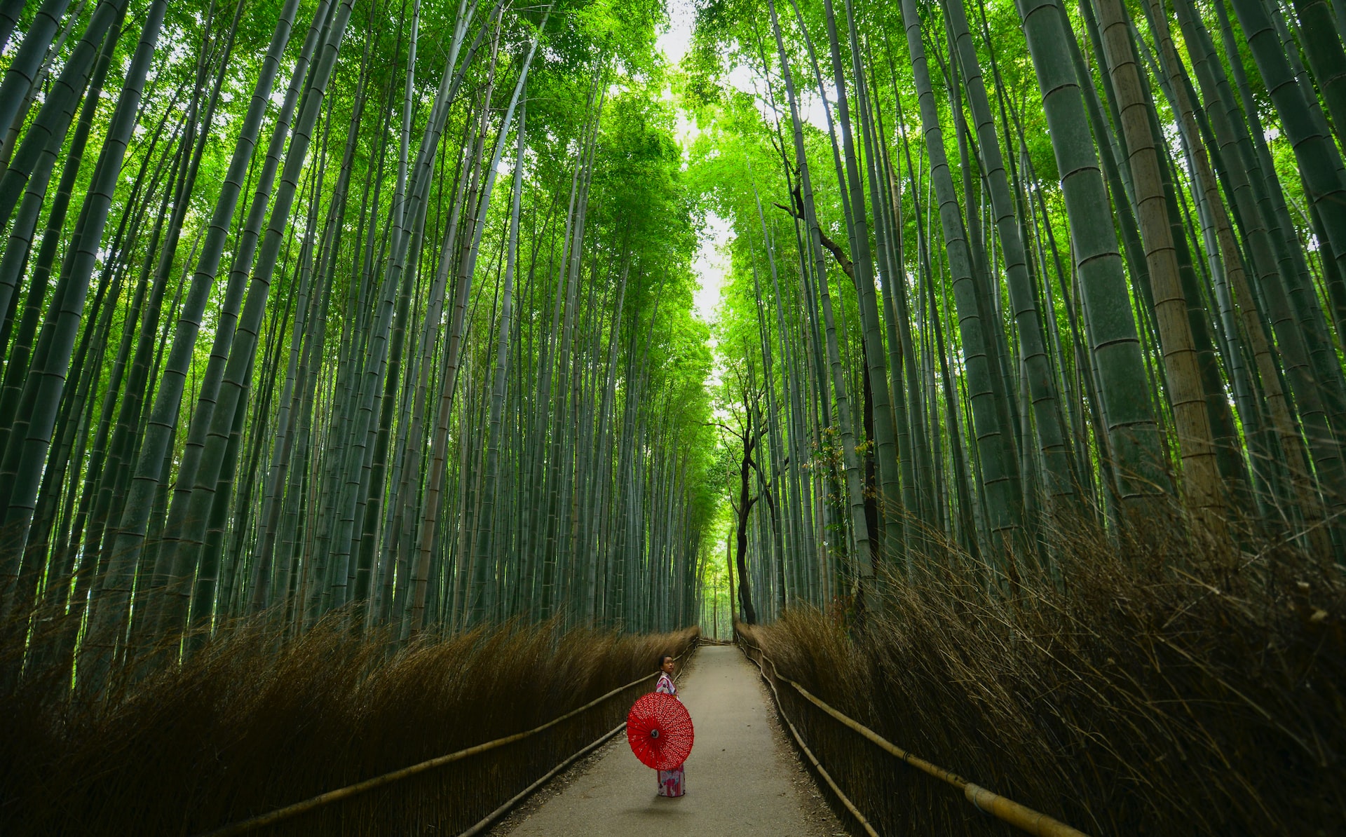 arashiyama