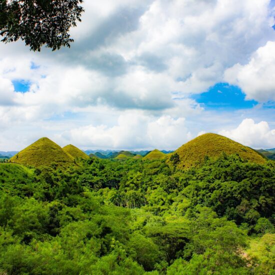 chocolate hills