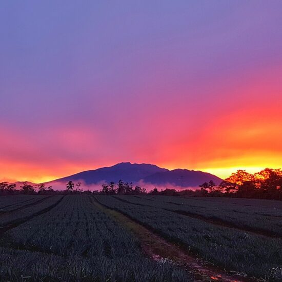 turrialba costarica