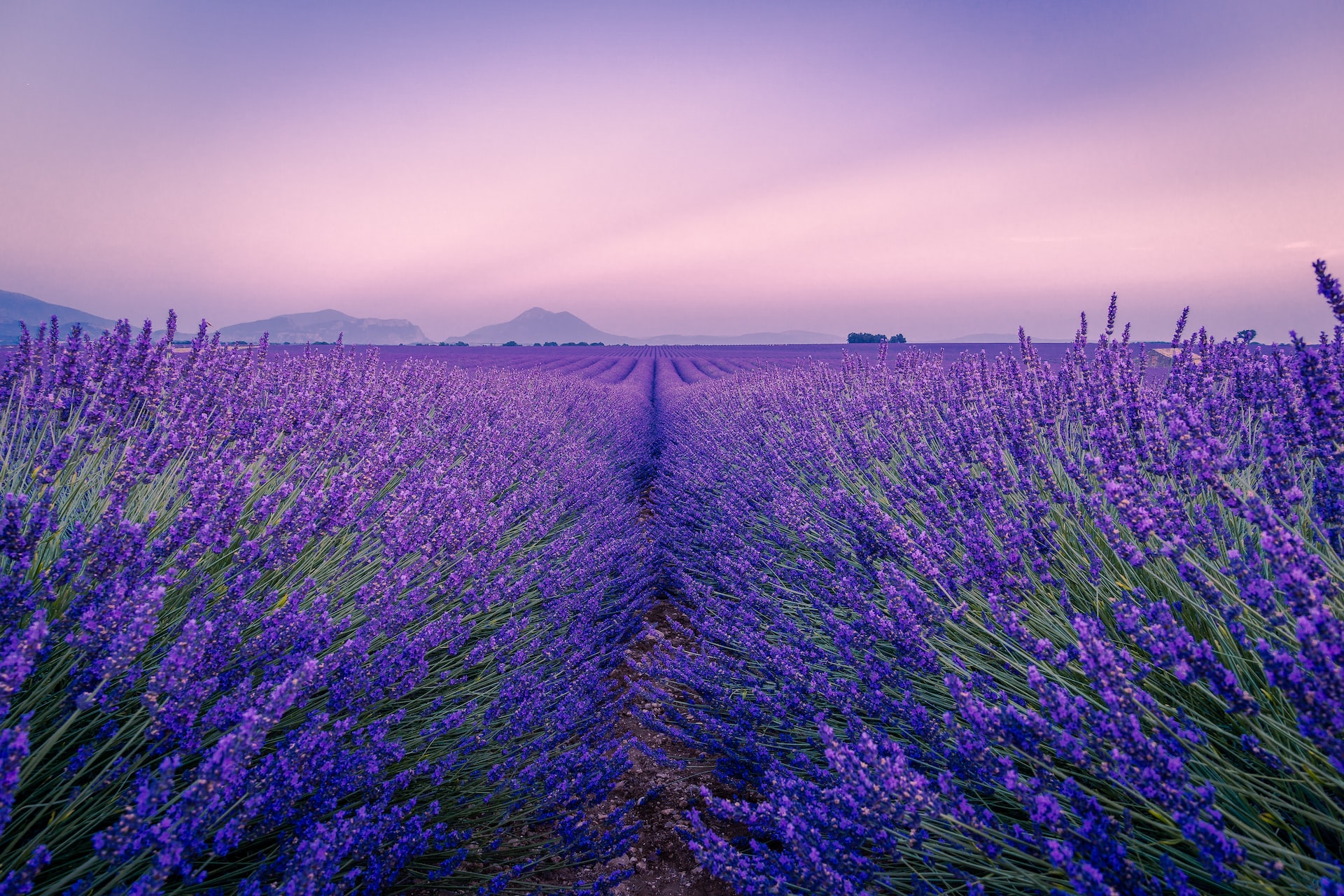 I PROFUMI E I COLORI DELLA PROVENZA