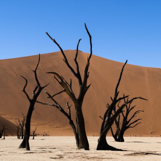 deadvlei