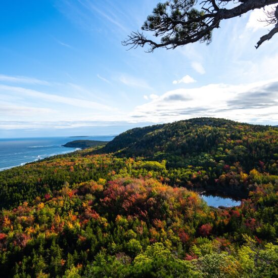 acadia np