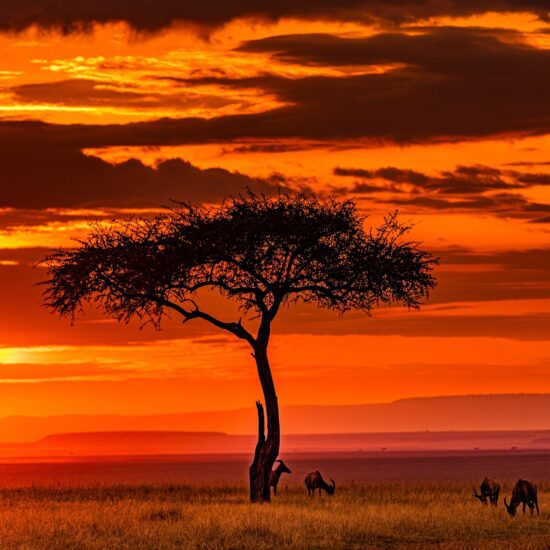 kenya tramonto