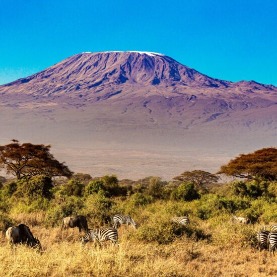 amboseli