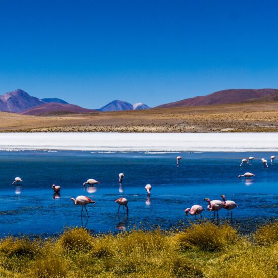 salar de uyuni