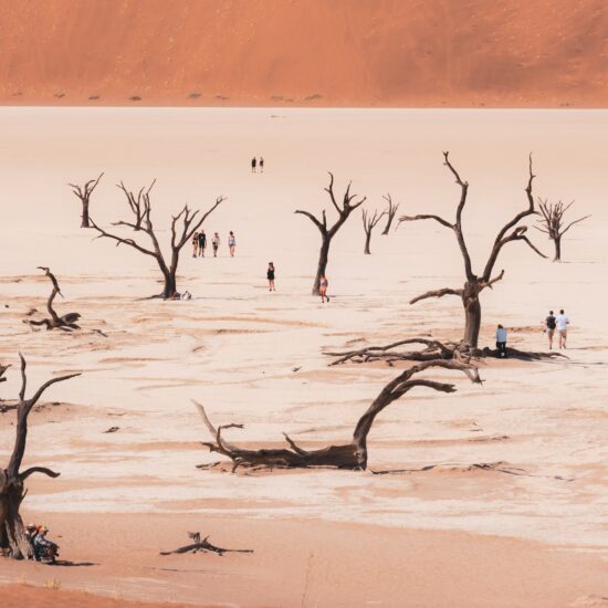 deadvlei