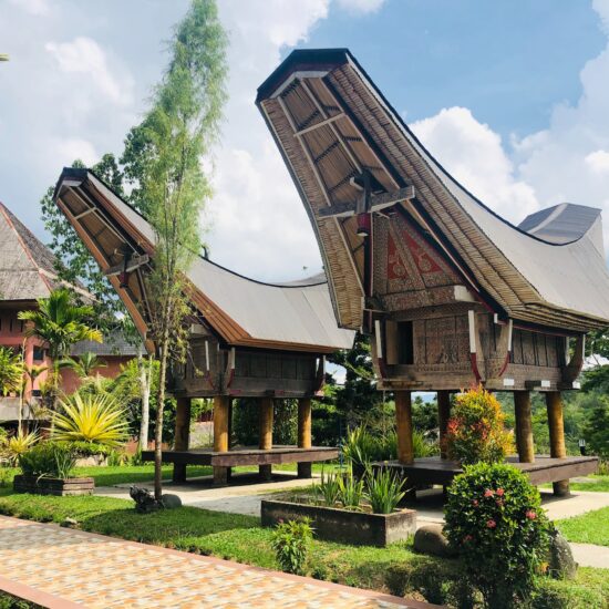 toraja