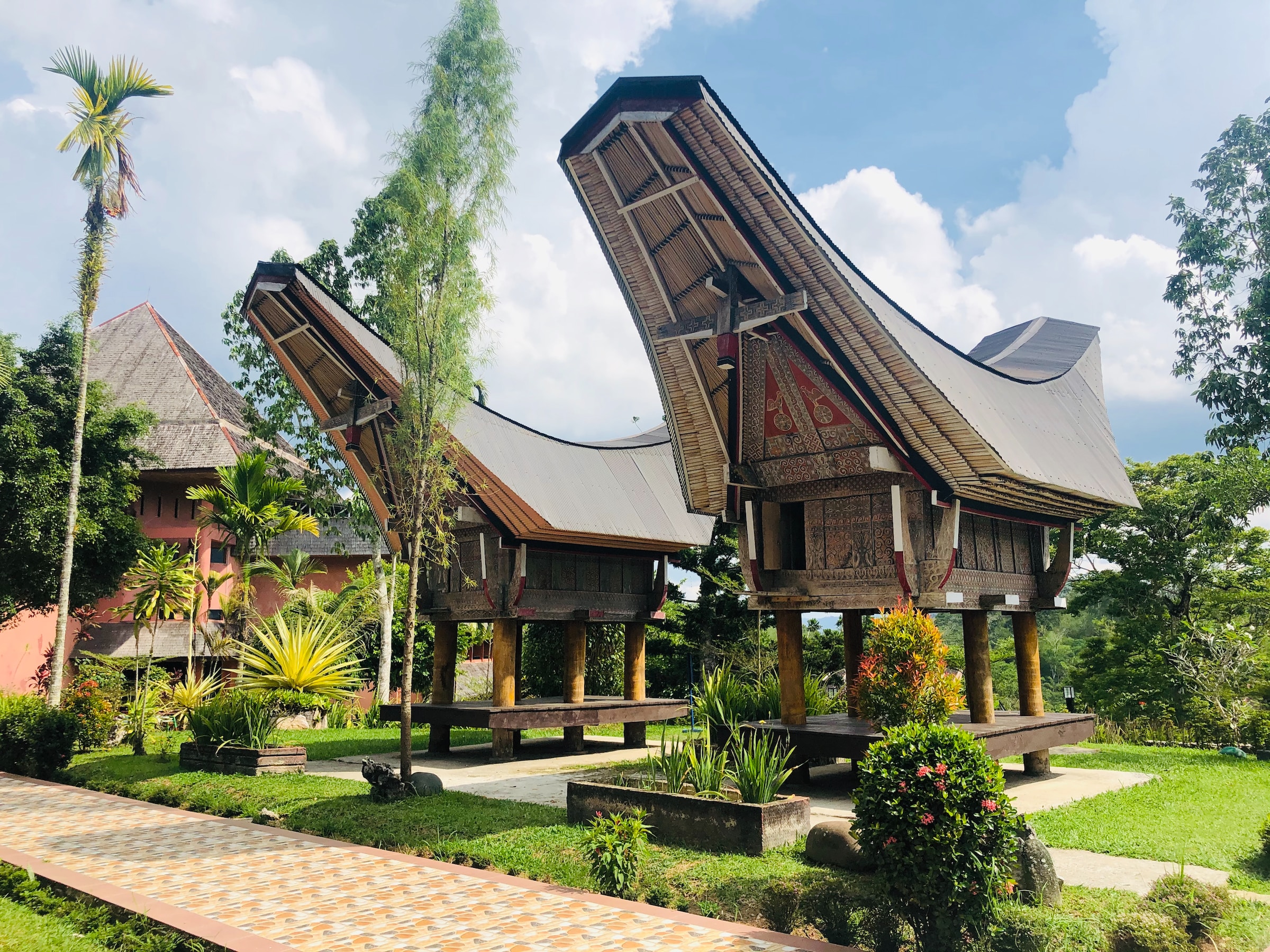 toraja