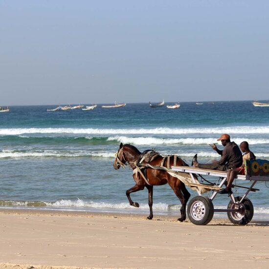 senegal