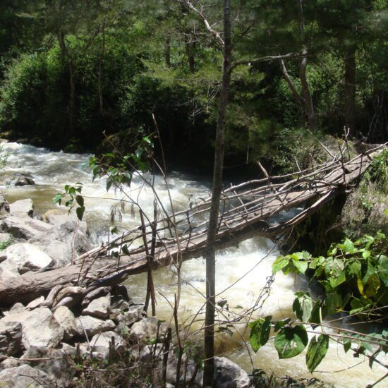 ponte sospeso