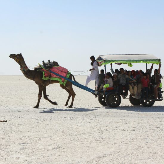 rann of kutch