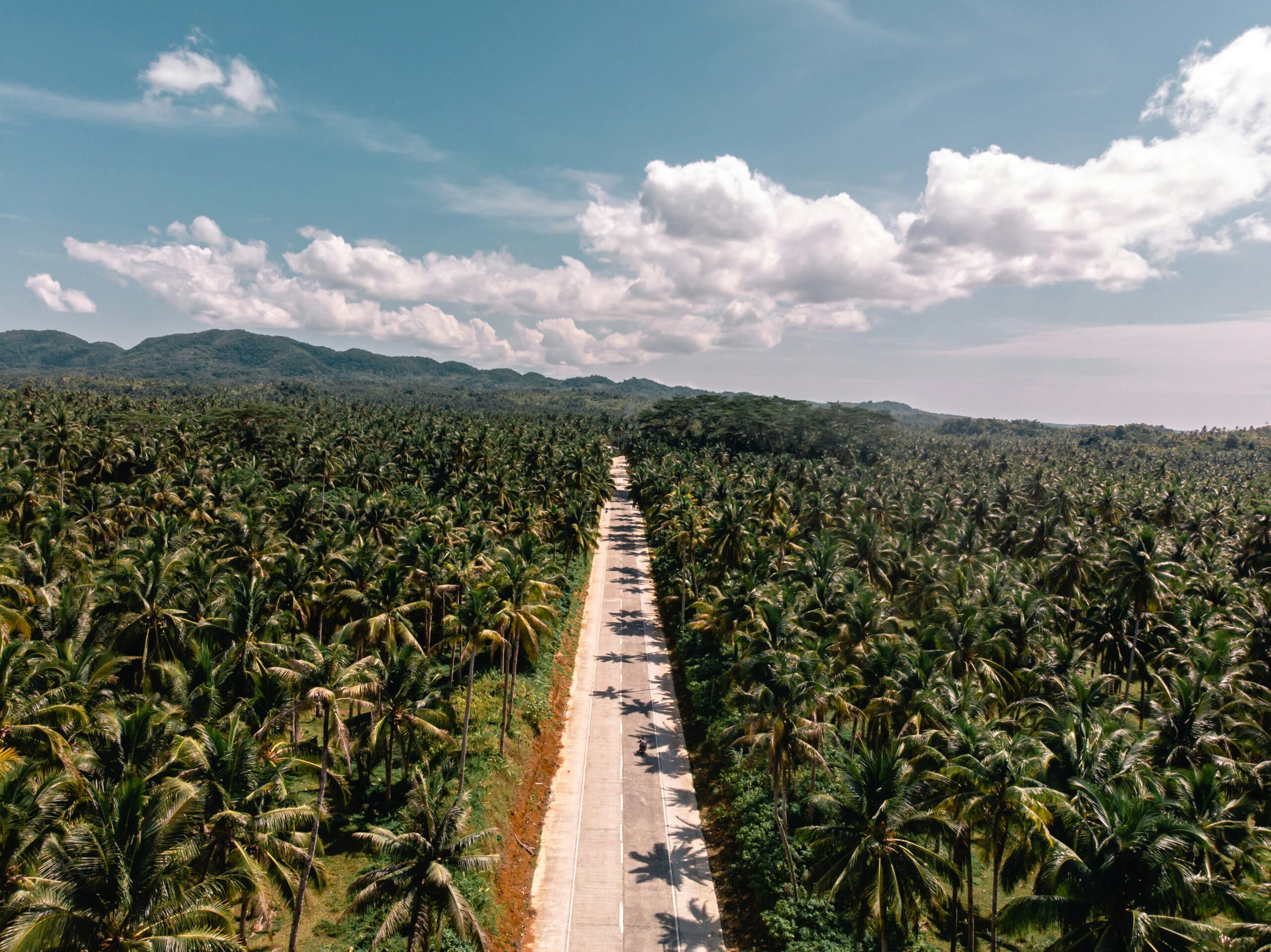 Coconut Road